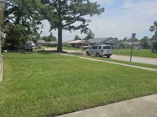 Enrique O.'s turf maintenance service result