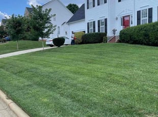 Ms. C.'s lawn maintenance service result