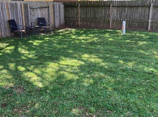 Lorraine A.'s turf care service result