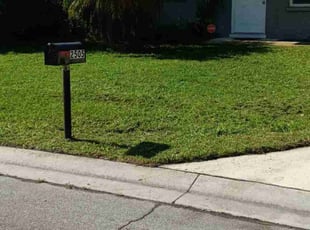 Keisha T.'s turf care service result
