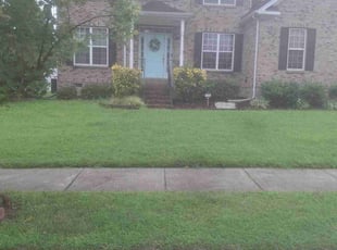 Brittany C.'s grass maintenance service result