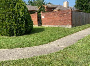 Walter P.'s grass cutting service result