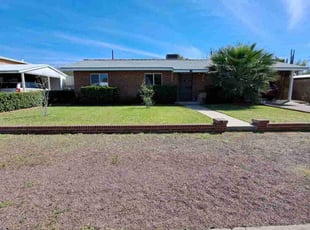 Dylan P.'s grass maintenance service result