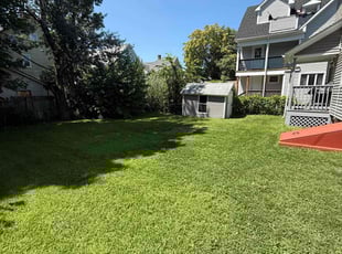 Angelo A.'s lawn care services service result