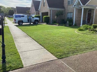 Carrie H.'s lawn maintenance service result