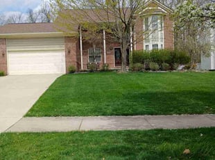 Nicole G.'s lawn service service result