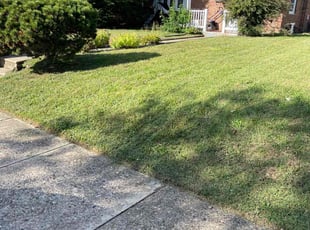 Olga R.'s lawn maintenance service result