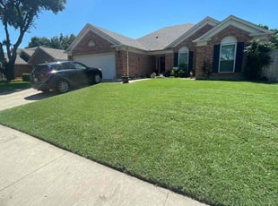 Brandon B.'s lawn care service result