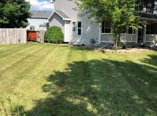 Cheryl G.'s lawn maintenance service result