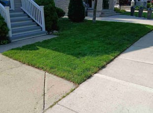 Yakima E.'s lawn care services service result