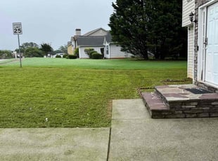 Paulina P.'s turf maintenance service result