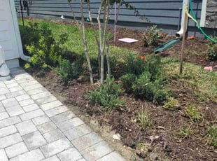 Shaundria B.'s Flower Bed Weeding service result