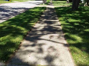 Baki B.'s lawn care services service result