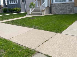Donnell B.'s lawn service service result