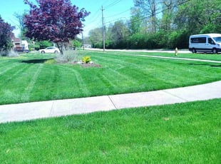 Kyung P.'s yard maintenance service result