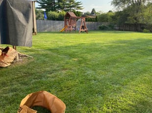 Joyce H.'s yard service service result