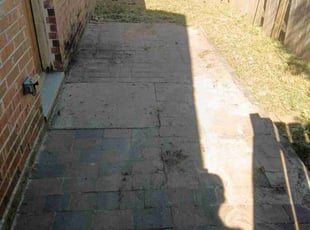 Jeikenelys L.'s turf maintenance service result