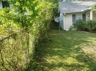 Sinem L.'s Bush Trimming service result