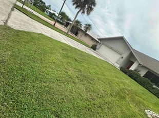 Heather L.'s turf maintenance service result