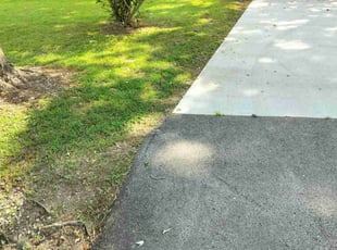 Queen C.'s lawn service service result