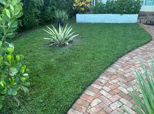 Lisa C.'s landscape maintenance service result