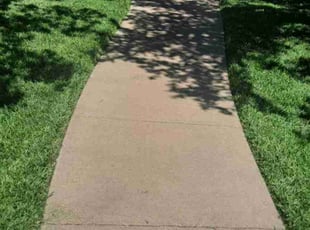 Bishop M.'s lawn service service result