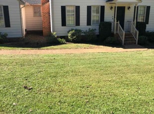 Loni M.'s Bush Trimming service result