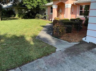 Madelyn D.'s lawn service service result