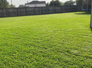 Henry C.'s lawn care services service result