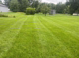 Prajkta S.'s lawn care services service result