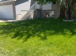 Joann H.'s turf care service result
