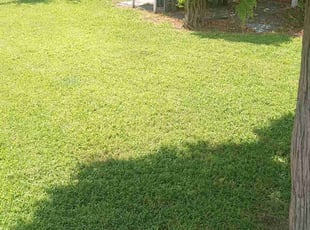Bob N.'s lawn care services service result