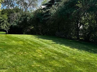 Karl F.'s landscaping service result
