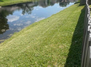 Andrea B.'s lawn maintenance service result