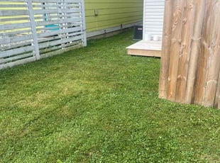 Hope B.'s lawn maintenance service result