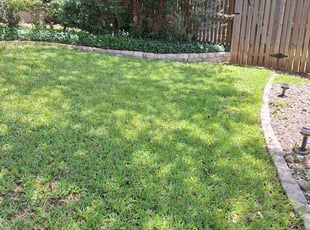 Renee C.'s grass cutting service result