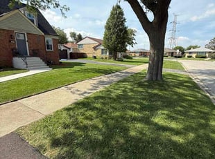 Brandi W.'s turf maintenance service result