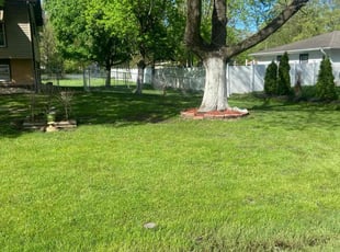 Addie D.'s lawn maintenance service result