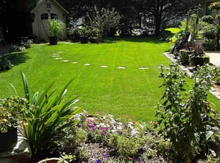Joshua H.'s turf care service result