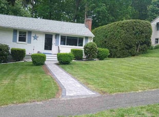 Shirley F.'s grass cutting service result