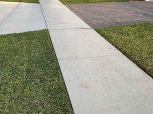 Kelly E.'s turf care service result