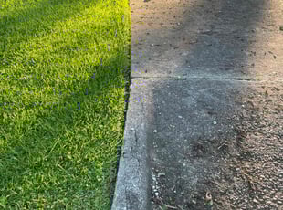 Darlene B.'s Long Grass Cleanup service result
