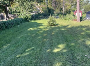 Dawn F.'s lawn service service result