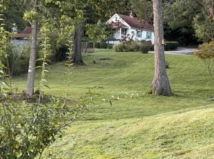 Joseph J.'s turf maintenance service result