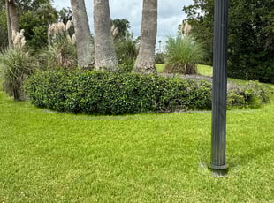 Helen T.'s lawn care services service result