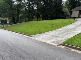 Sharleen M.'s lawn care services service result