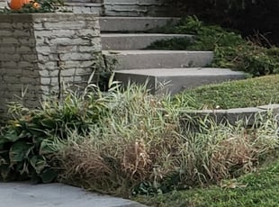 Jonathan H.'s Bush Trimming service result