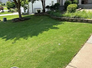 Yolande M.'s landscaping service result