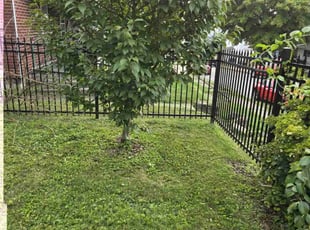 Coneath E.'s lawn care service result