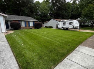 Scarlett R.'s lawn care services service result